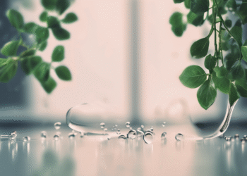 Hedera’s HBAR Drops 2.6% to $0.1691, Signals Potential Rebound Ahead