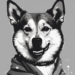 Grayscale’s GDOG Launches as DOGE Shows Signs of Bullish Consolidation